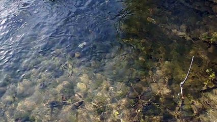 Plitvice Lakes National Park 2