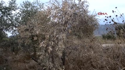 Aydın Çiftçilerin Atık İsyanı