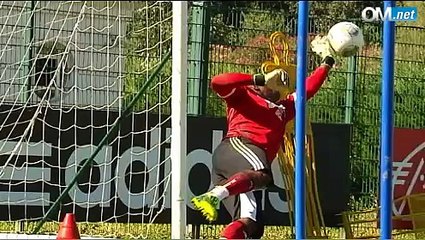 Promenons-nous dans les bois