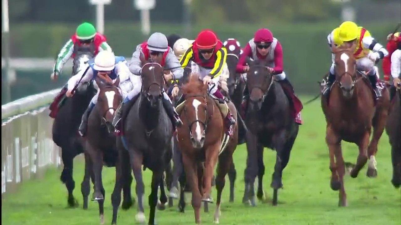 PORTRAIT TREVE QPAT 2014