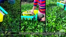 Çay Toplama Makinası | Yeni Nesil Çay ve Bitki Toplama Makinası - SZ53