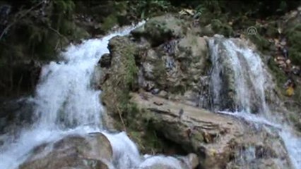 Sülüklü Göl'de Sonbahar