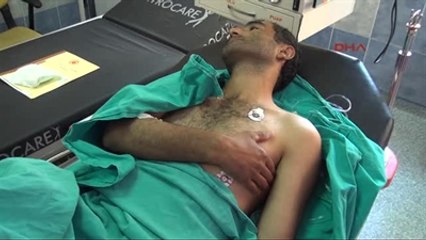 Domuzun Saldırdığı Çobanı Kangal Köpekleri Kurtardı