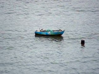 AVENTURAS DE MARCELO AMBROGI NOS MARES DE UBATUBA, SP, BRASIL - PARTE (2)