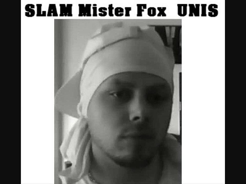 Slam Mister Fox
