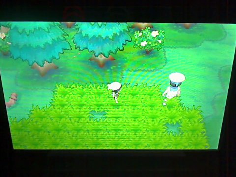 Glalie Mega Evolving Into Mega Glalie In The Pokemon Omega Ruby and Pokemon Alpha Sapphire Special Demo Version