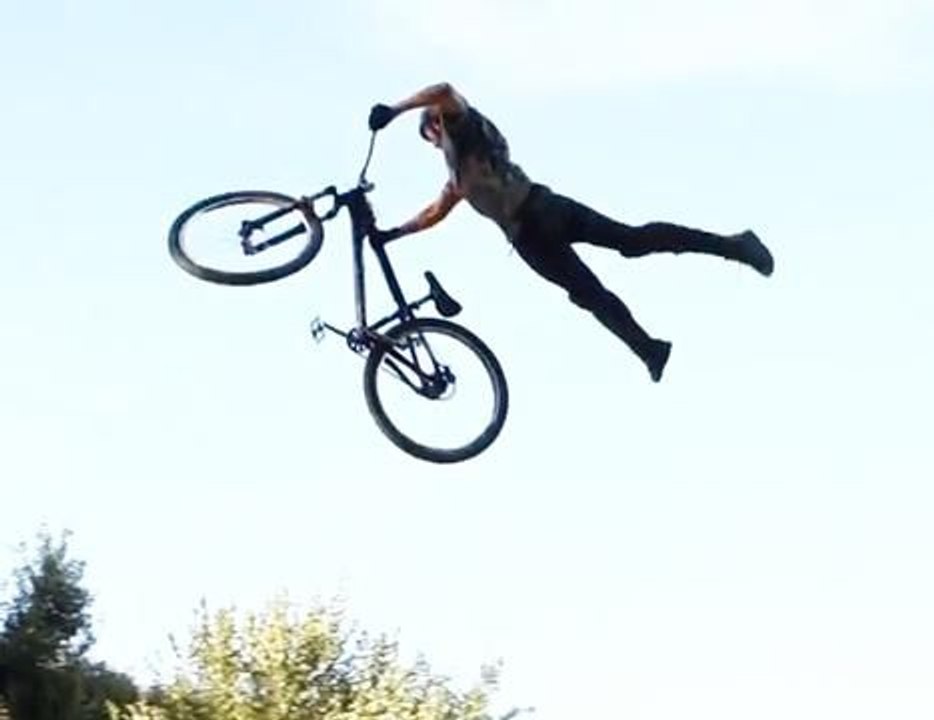 Dirt Offspring Series 2014