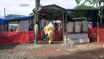 Banco Mundial libera US$ 100 milhões para combater o Ebola