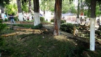 Parkta Kitap Okuyan Öğrencilerin Üzerine Yıldırım Düştü: 3 Yaralı