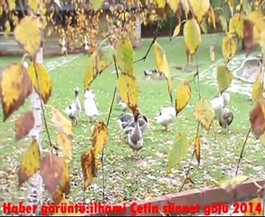 Sünnet gölü'nde Sonbahar 2014