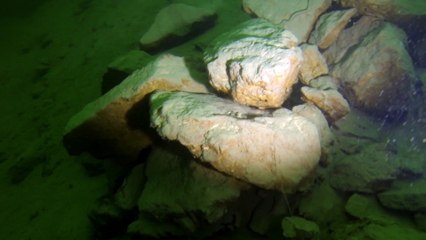 Lac du Bourget - Challière -Sept 2014