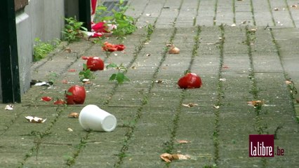 Schindler licencie 17 travailleurs.