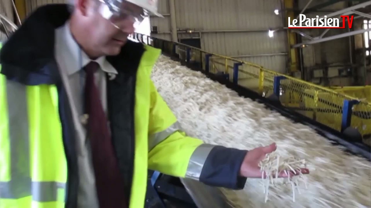 L'unique sucrerie de l'Oise en pleine campagne betteravière
