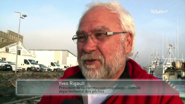 Petite mer de Gâvres. 20 tonnes de coques ensemencées