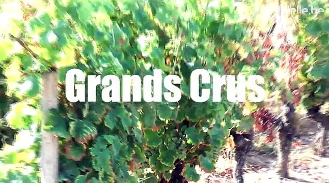 Week-End Golf & Grands Crus