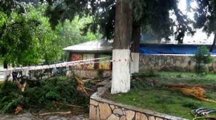 Parka Yıldırım Düştü: 3 Öğrenci Yaralı