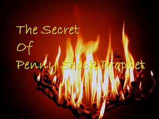 the secret of penny stock prophet