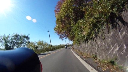 LEGACY　2014 奥州Ｚ會　ツアー　Ⅱ ⑪