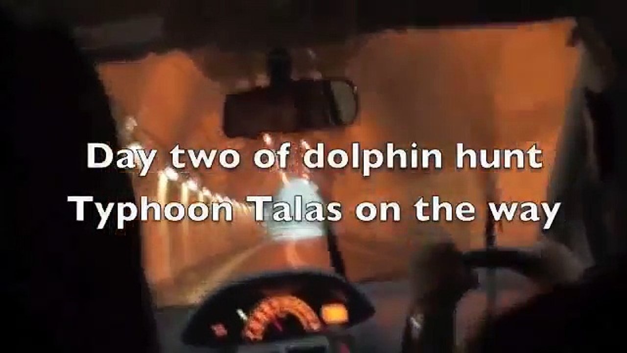 Dolphin Resort in Taiji Refuses to Give Dolphins a Chance to Survive Typhoon Talas