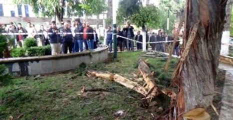 Hatay'da Parka Yıldırım Düştü: 1'i Ağır 3 Öğrenci Yaralandı