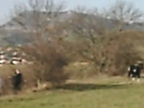 Chevaux sauvages clip