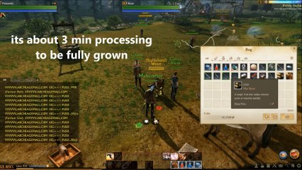 Archeage How To Get Your First Ride Lilyut Horse For Nuian