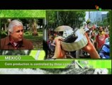 Interviews From Mexico - Agriculture and Energy Reform