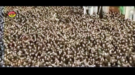 09 PASHTO -- JABIR HUSSAIN BANGASH 2014-15