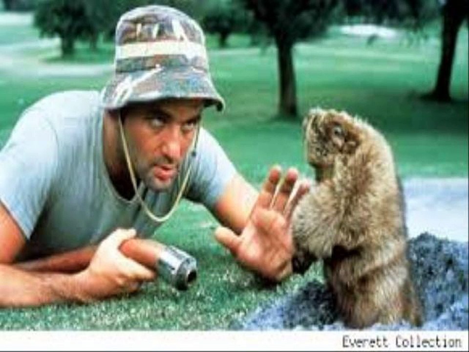Caddyshack Full Movie Video Dailymotion