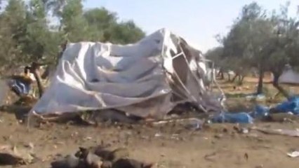 Dozens killed in Syria barrel bomb 'massacre'