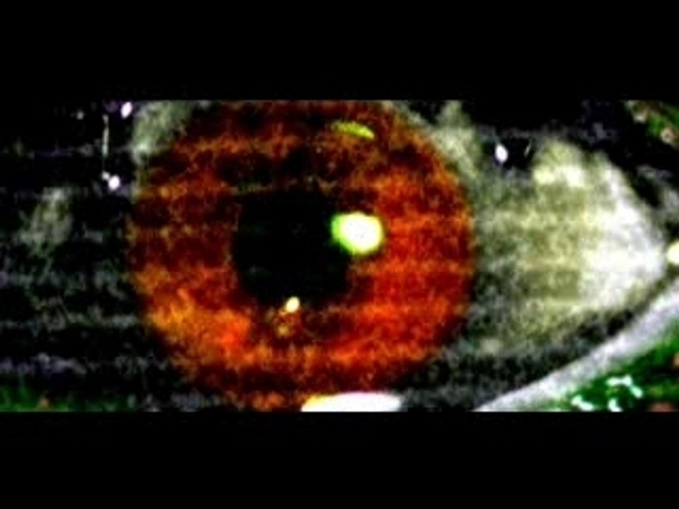Stay Alive - TV Spot #1