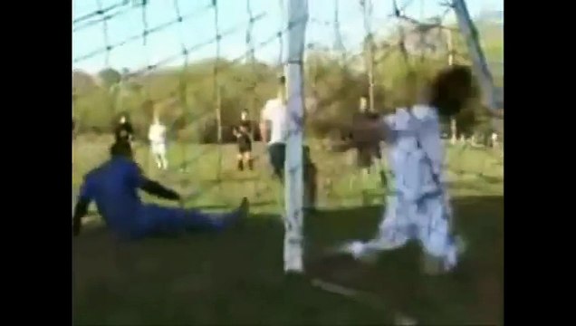 Funny Videos - funny cats - Funny Pranks - Funny Cats Videos - funny fails - funny animals