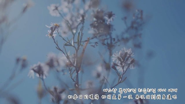 [中韓字] 2AM 나타나 주라 (Over the Destiny) MV