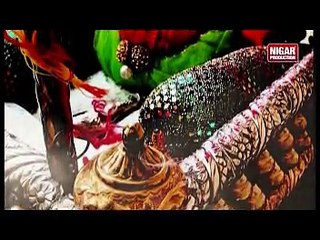 Haye Maa dhondhti hay. Rizvia Party Album 14 (2014).