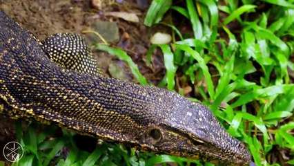 In The Creation Of The Heavens In The Earth  And The Alternation Of Night And Day  There Are Signs The Cards For Those Who Have Reason And Intellect