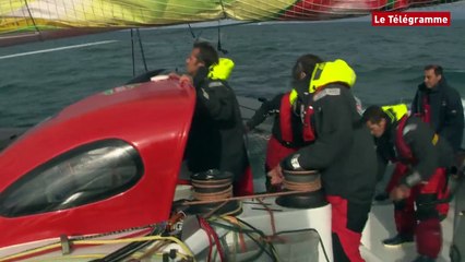 Route du Rhum - Destination Guadeloupe. Survol de la flotte