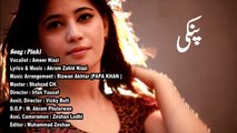 Pinki HD Video Song By Ameer Niazi