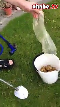 Bir poşet patates 1 dakikaya nasıl soyulur