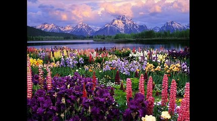 _Life is Beautiful_ -Best English Songs_Music- very rare Song (All Time Greatest Hits) ~Lyrics