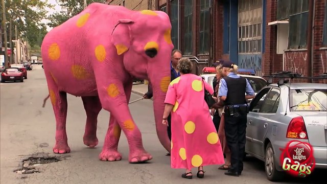 Best of Just For Laughs Gags - Most Crazy Complex Pranks