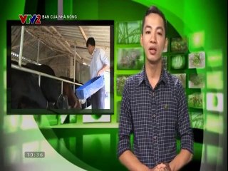 Mô hình gà thả vườn ở Hòa Bình, trồng hoa lan ở Hoài Đức - Hướng lai bò chuyên thịt