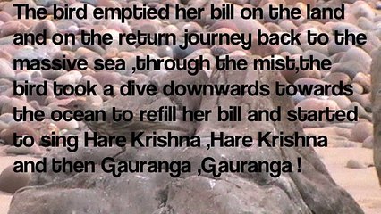 THE SMALL BIRD AND THE GIGANTIC OCEAN