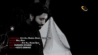 Azher Rizvi 2014-2015 PROMO