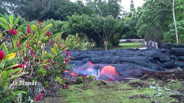 Flot de lave au milieu de résidences à Hawaï