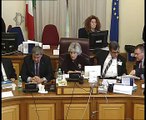 Roma - Promozione dello sport, audizione di Pancalli (30.10.14)