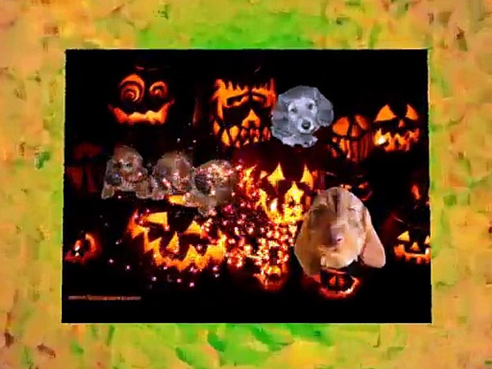 Allo !!! Hallo Haloween