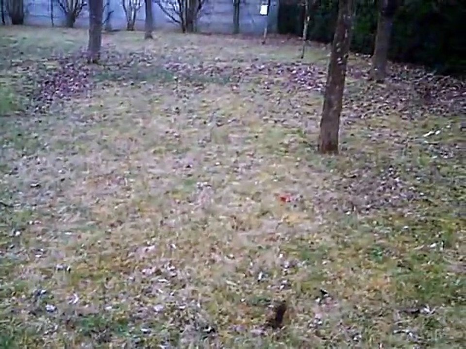 #2 Fumigene chlorate de soude + sucre + bicarbonate