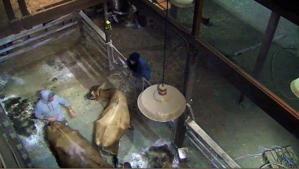 Taylor & Hex Barn 10-30-14