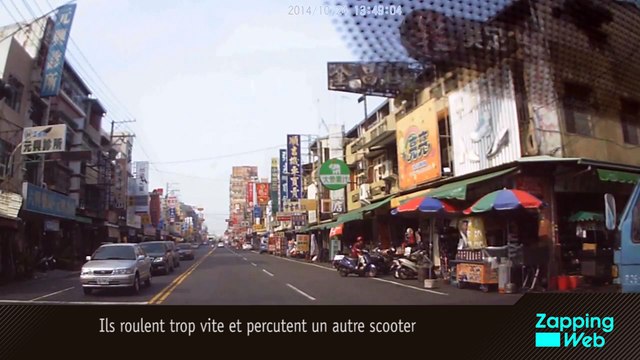 Il sauve des bébés requins en faisant une césarienne sur une femelle requin morte !