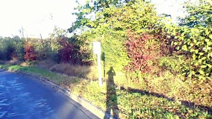 Waveboard: longue descente avec virage